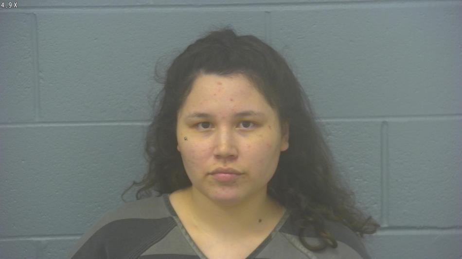 Arrest photo of HEATHER BRILL